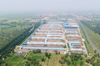 海高牧場(chǎng)